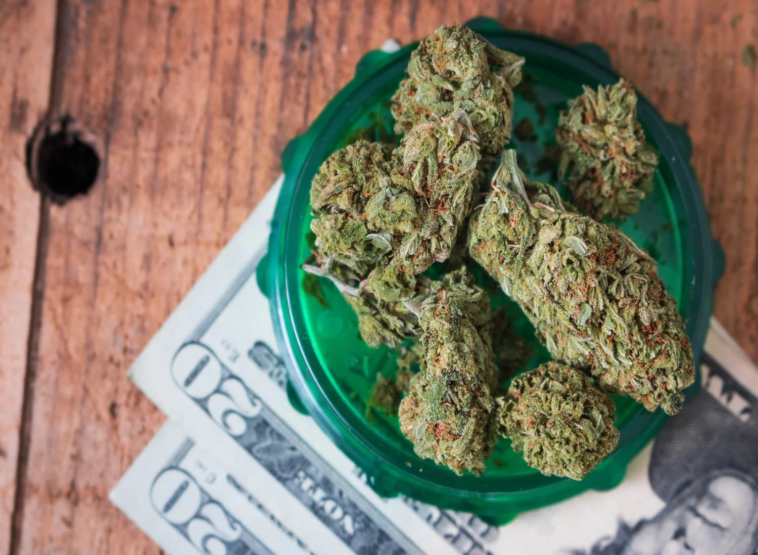 Strains für Outdoor- und Indoor-Grows – Hanfsamen bestellen mit bester Beratung