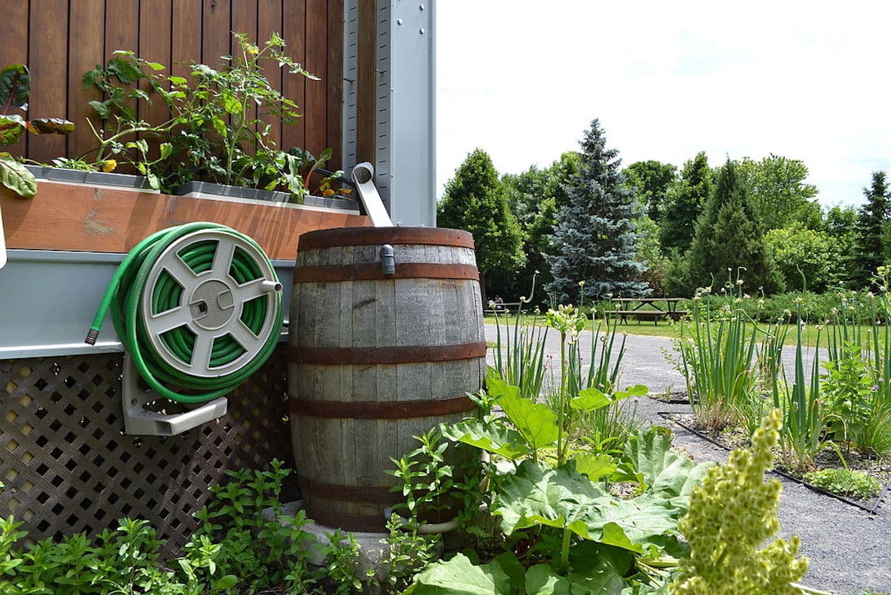 All4Water: Ihr Partner für die perfekte Gartenbewässerung
