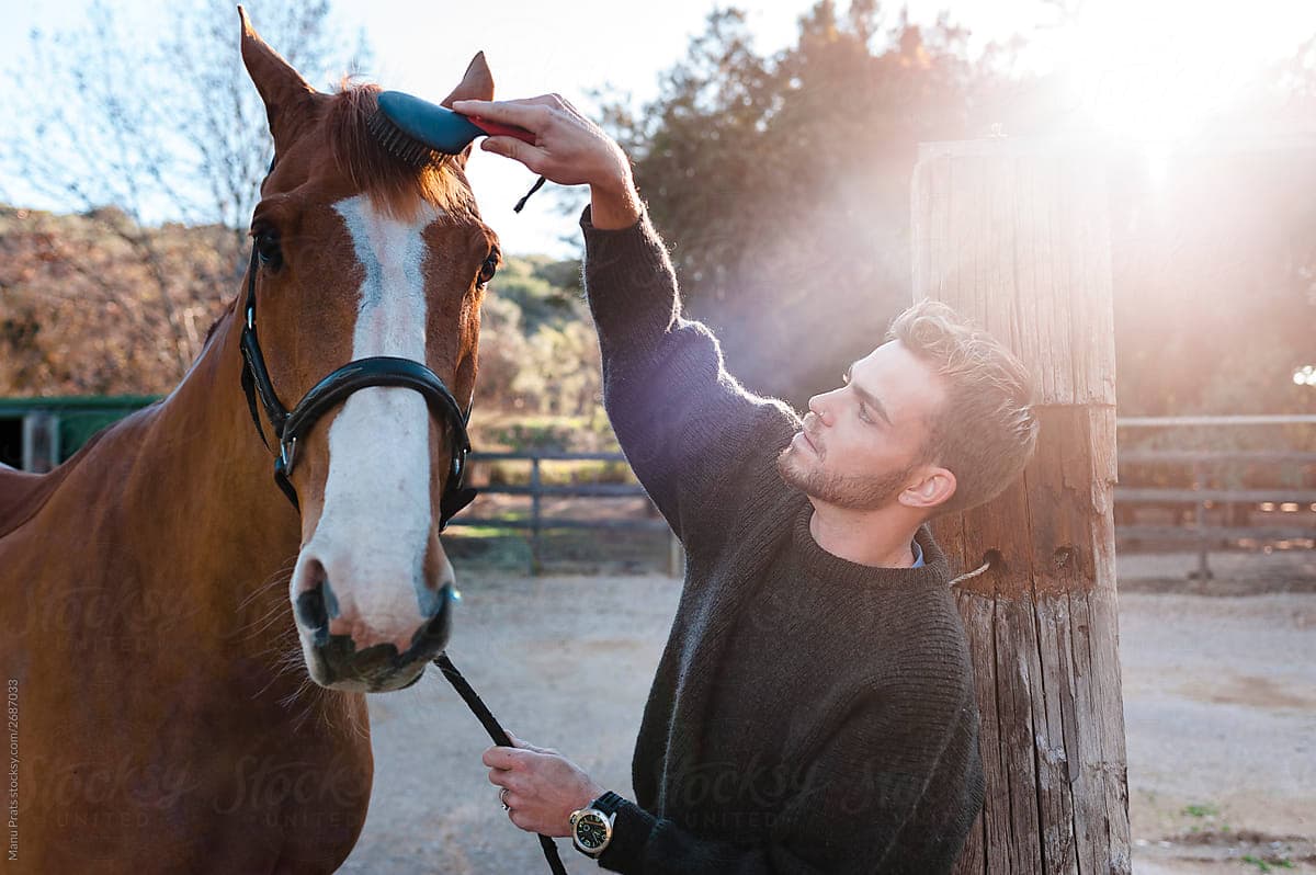 Pferdepfleger gesucht: Ihre Chance im Pferdesport
