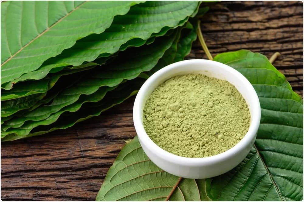 Sind Sie auf der Suche nach hochwertigem Kratom in Deutschland und Österreich?