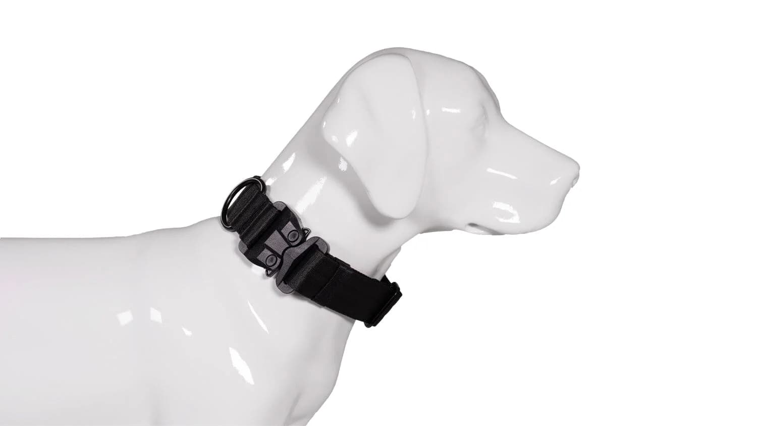 Verwendung von Hundehalsband mit Griff für mehr Sicherheit beim Spazierengehen