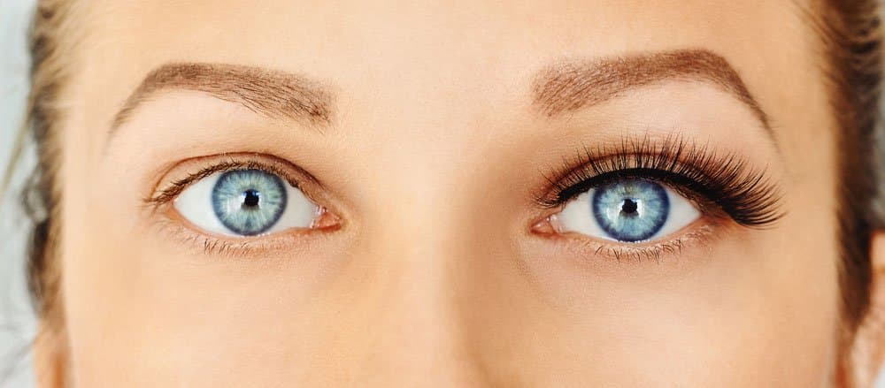 Finden Sie die perfekte Augenbrauenpinzette und Wimpernpinzette bei LashLink