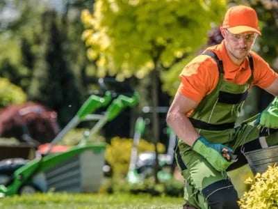 Gartenprojekte jeder Größe – wir realisieren Ihren Traum im Gartenbau braunschweig