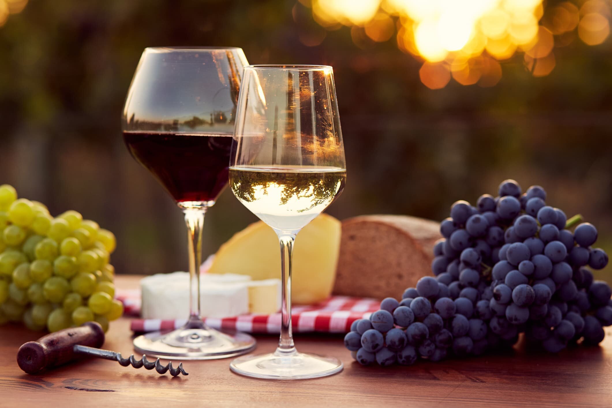 Die Geheimnisse italienischer Rotwein: Was macht ihn so besonders?