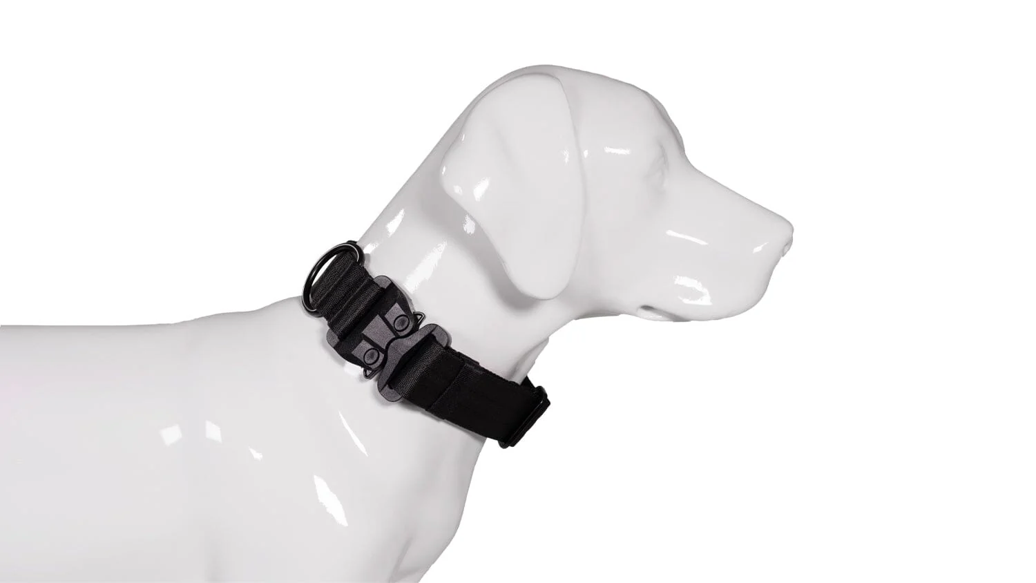 Verwendung von Hundehalsband mit Griff für mehr Sicherheit beim Spazierengehen