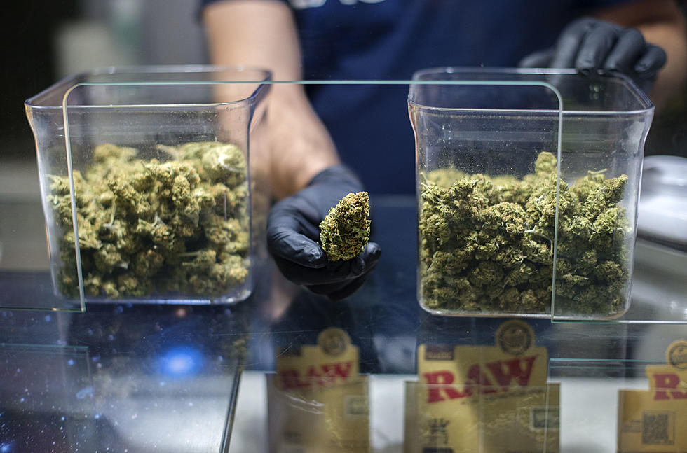 Strains für Outdoor- und Indoor-Grows – Hanfsamen bestellen mit bester Beratung