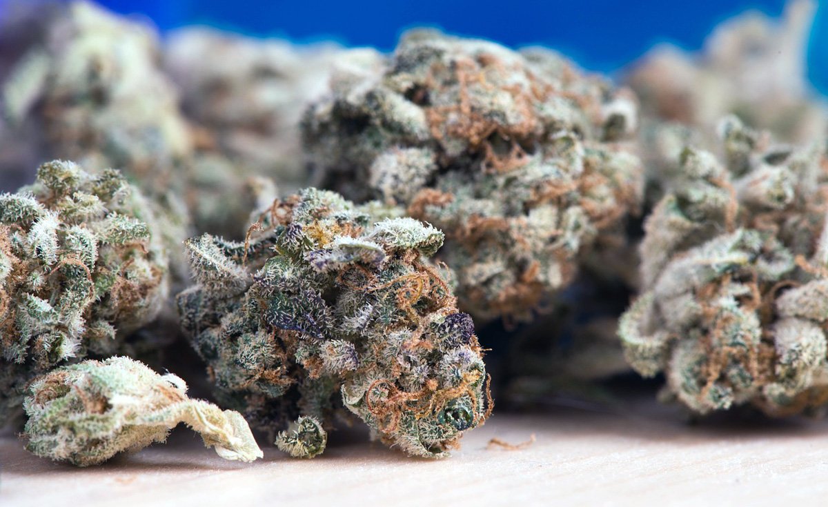 THCA blüten deutschland vs. HHC: Der große Unterschied und warum THCA blüten deutschland überlegen sind