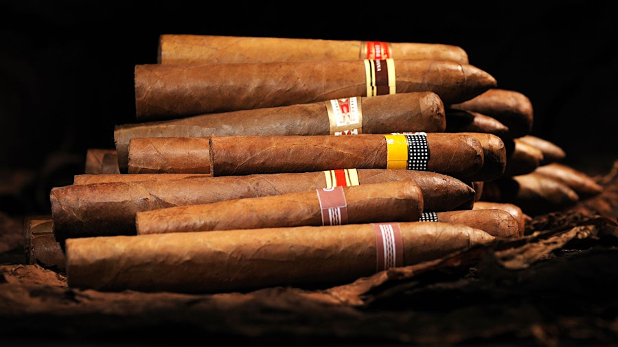 Perfekte Lagerung für Ihre Zigarren: Humidore von C-Cigars