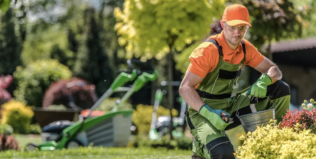 Gartenprojekte jeder Größe – wir realisieren Ihren Traum im Gartenbau braunschweig
