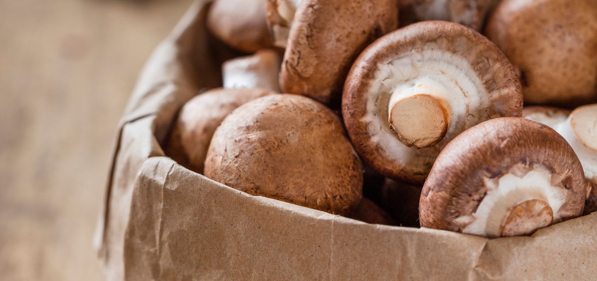 Beliebte Frische: Pilze im Fokus des Handels